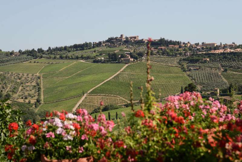 意大利三大顶级产区,你都认识吗? 意大利三大顶级产区,你都认识吗?