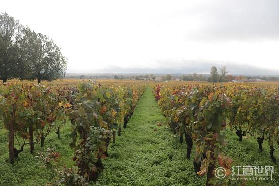 葡萄酒产区那么多,我想去看看 葡萄酒产区那么多,我想去看看