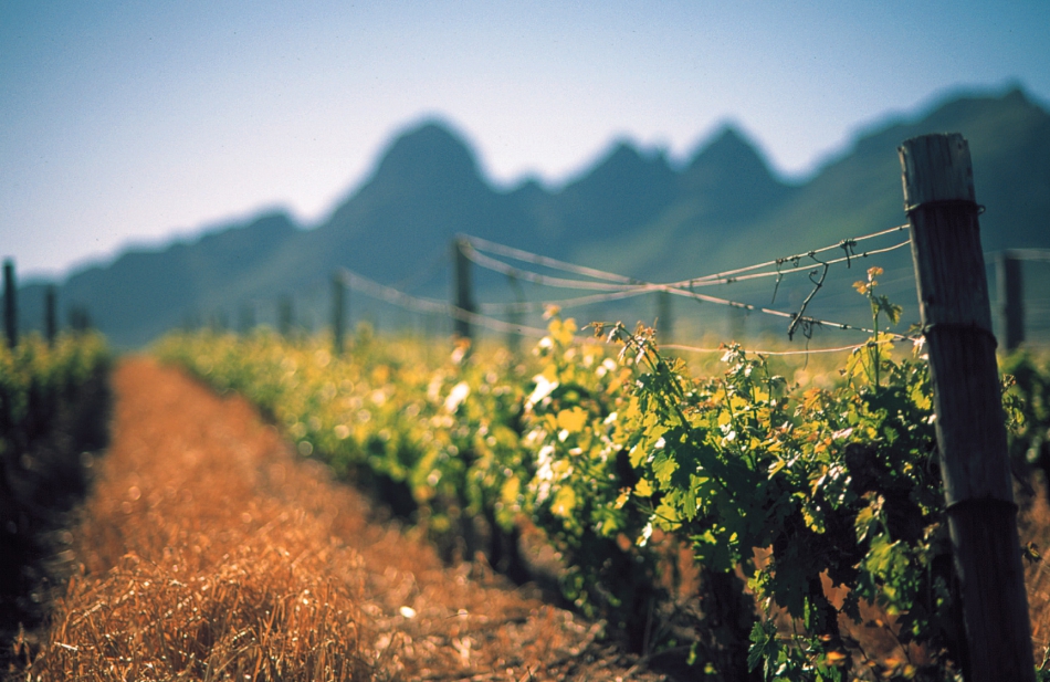 2017年,你的旅游清单应该加上这些溢满酒香的景点 2017年,你的旅游清单应该加上这些溢满酒香的景点