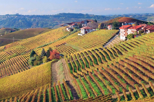 意大利三大顶级产区,你都认识吗? 意大利三大顶级产区,你都认识吗?