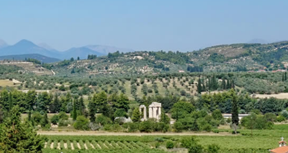 希腊公投,请别坏了我们家的葡萄酒! 希腊公投,请别坏了我们家的葡萄酒!