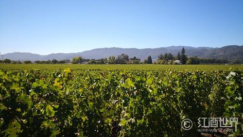 葡萄酒产区那么多,我想去看看 葡萄酒产区那么多,我想去看看