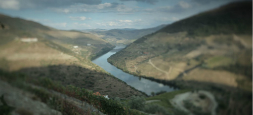 杜罗河谷产酒区新地图即将拍卖 杜罗河谷产酒区新地图即将拍卖