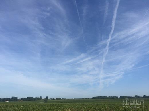 酒业巨头嘉露收购多波酒庄 酒业巨头嘉露收购多波酒庄