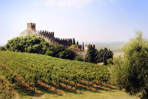 意大利三大顶级产区,你都认识吗? 意大利三大顶级产区,你都认识吗?