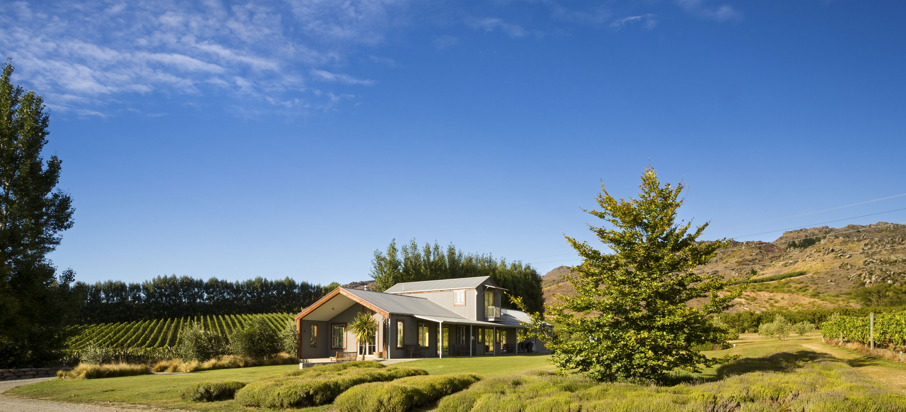 新西兰双蛙酒庄再购葡萄园 新西兰双蛙酒庄再购葡萄园