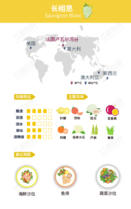 一张“名片”结识绝代佳丽——长相思葡萄酒 一张“名片”结识绝代佳丽——长相思葡萄酒