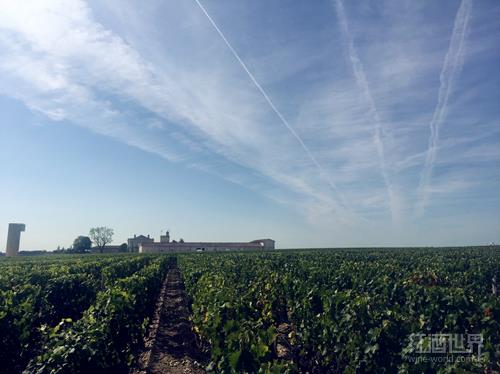 探讨波尔多前景 探讨波尔多前景