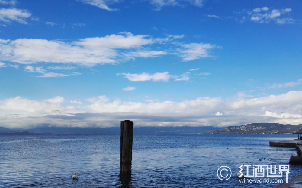 酒之魂：海洋气息——体验似曾相识之美