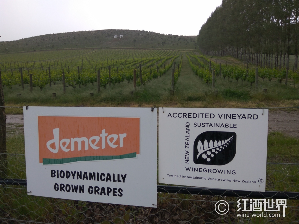 克瑞芙酒庄：名家掌舵的中部奥塔哥名庄