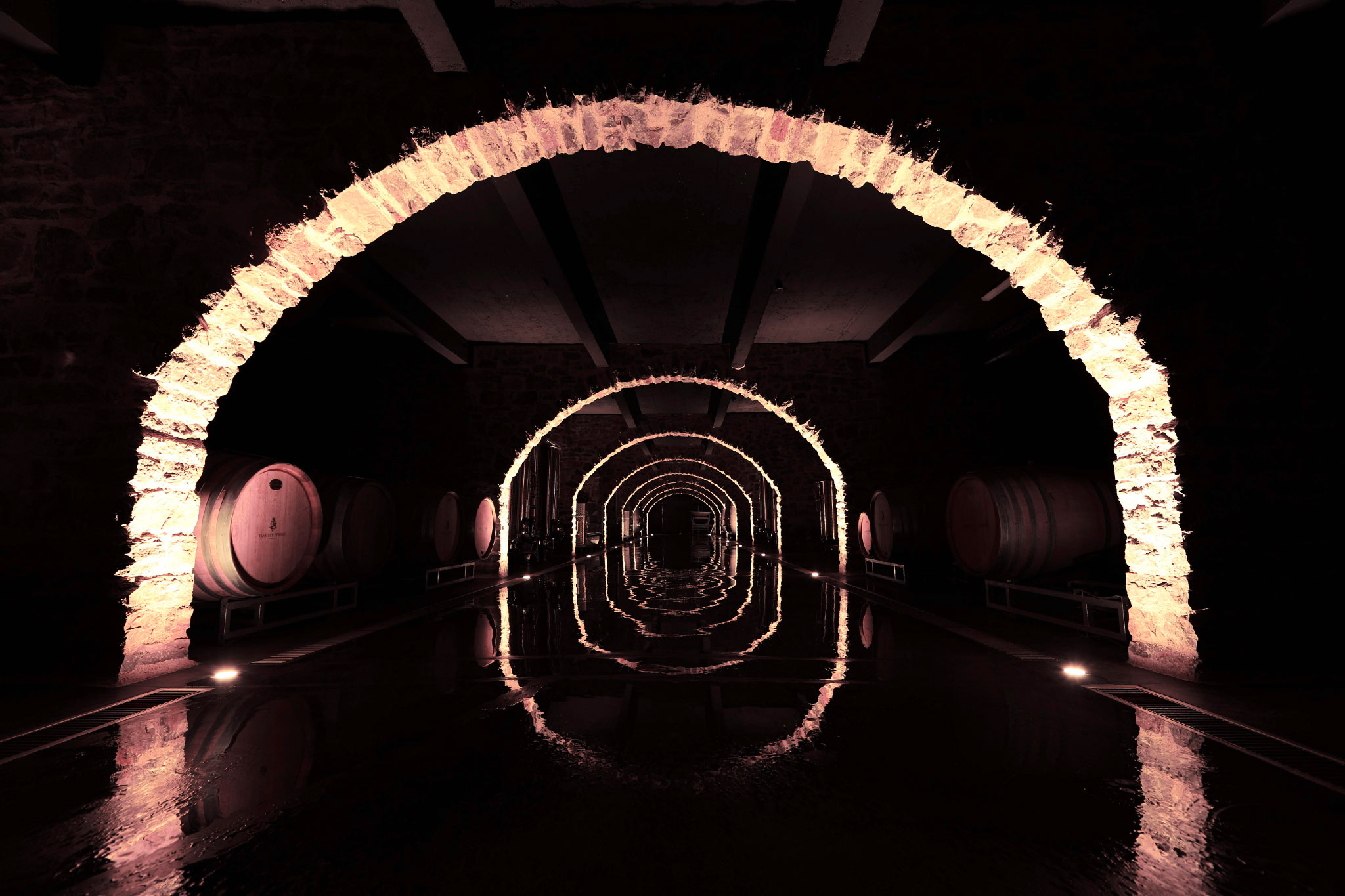 佩兰家族：从罗讷河谷到全世界