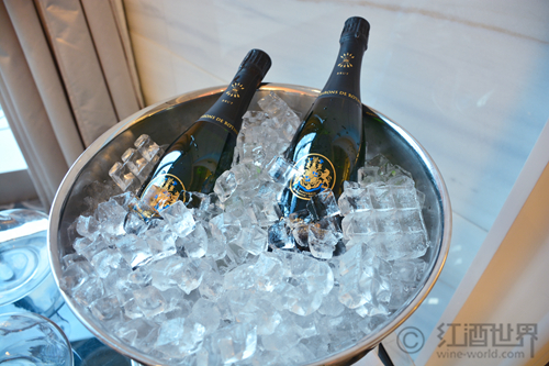 夏季饮酒，为葡萄酒降温都有哪些方式？