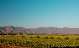 十问十答，带你领略智利葡萄酒