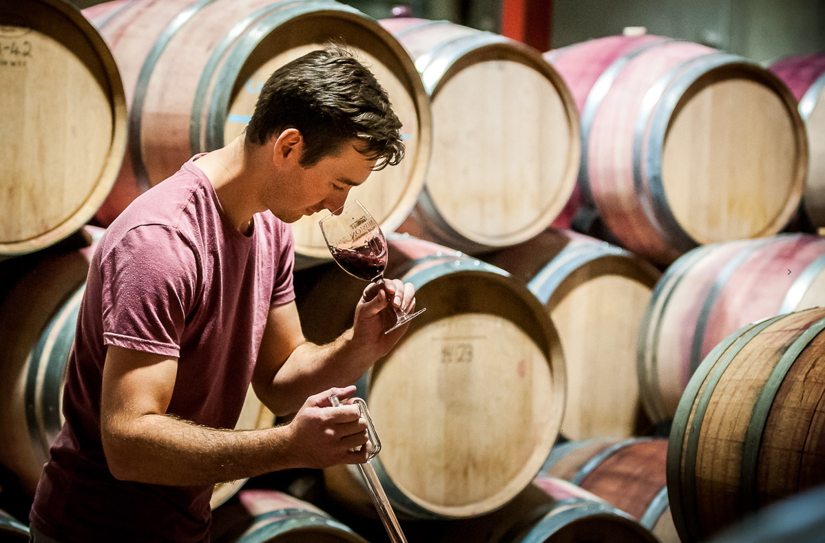 揭秘葡萄酒中亚硫酸盐的真相