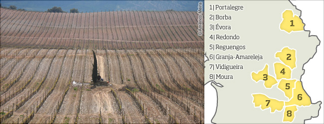 葡萄牙葡萄酒地图