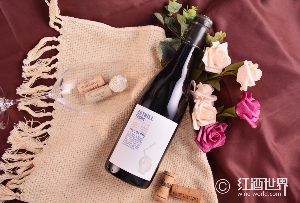 皮诺家族成员盘点