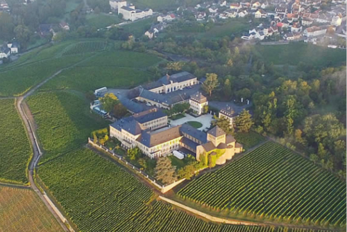 德国雷司令：摩泽尔还是莱茵高？