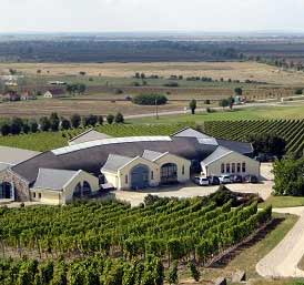 野猪岩酒庄(Disznoko)