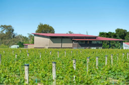 格拉斯顿酒庄(Gladstone Vineyard)