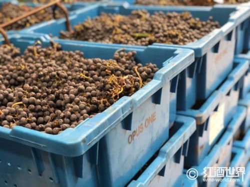 揭开酒庄酒的神秘面纱