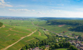 十问十答，再品伯恩丘葡萄酒不迷茫
