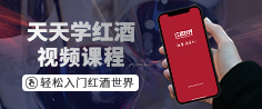 天天学红酒视频课程