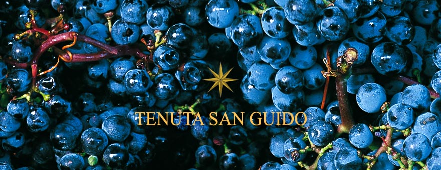 意大利“酒王之王”：西施佳雅