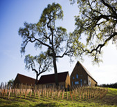 特瑞纳酒庄(Treana Winery)