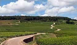 杰拉德·慕尼酒庄(Domaine Gerard Mugneret)