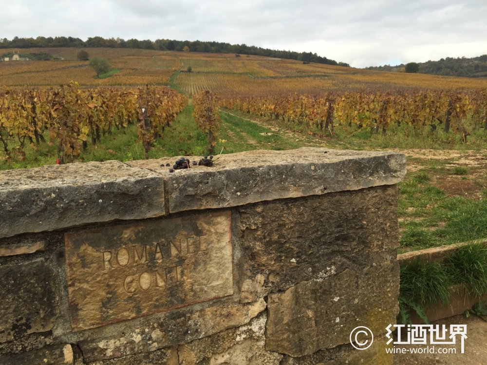 罗曼尼·康帝趣味知识集锦