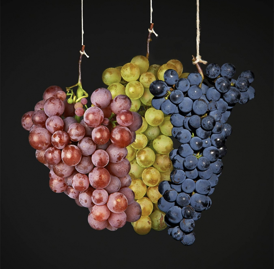 皮诺家族成员盘点