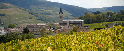 博若莱之王：杜宝夫酒庄