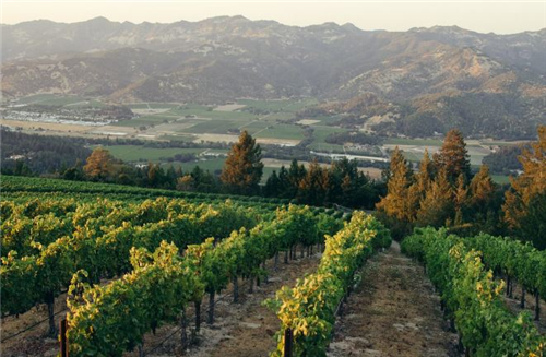 十问十答，带你快速游览美国纳帕谷