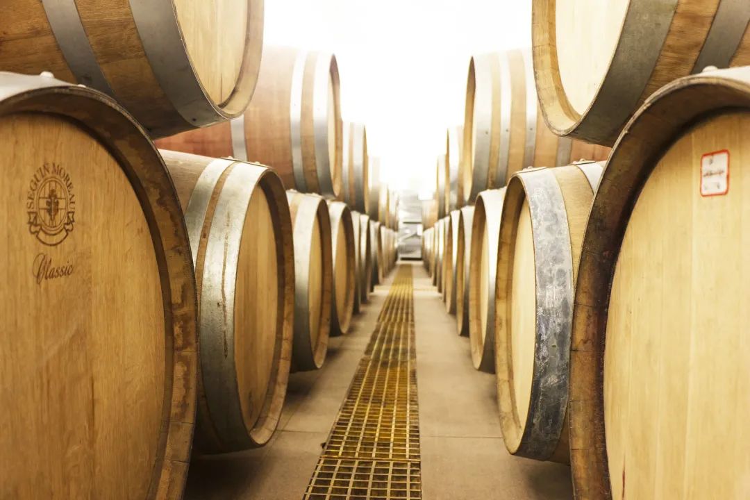 容园美酒庄：倡导中国葡萄酒美学