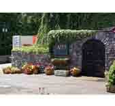 阿尔巴酒庄(Alba Vineyard)