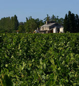 圣皮埃尔岛酒庄(Domaine Isle Saint Pierre)