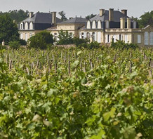 JS96-97分，三级庄朗高巴顿2022期酒上线