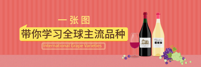 一张图带你学习全球主流品种
