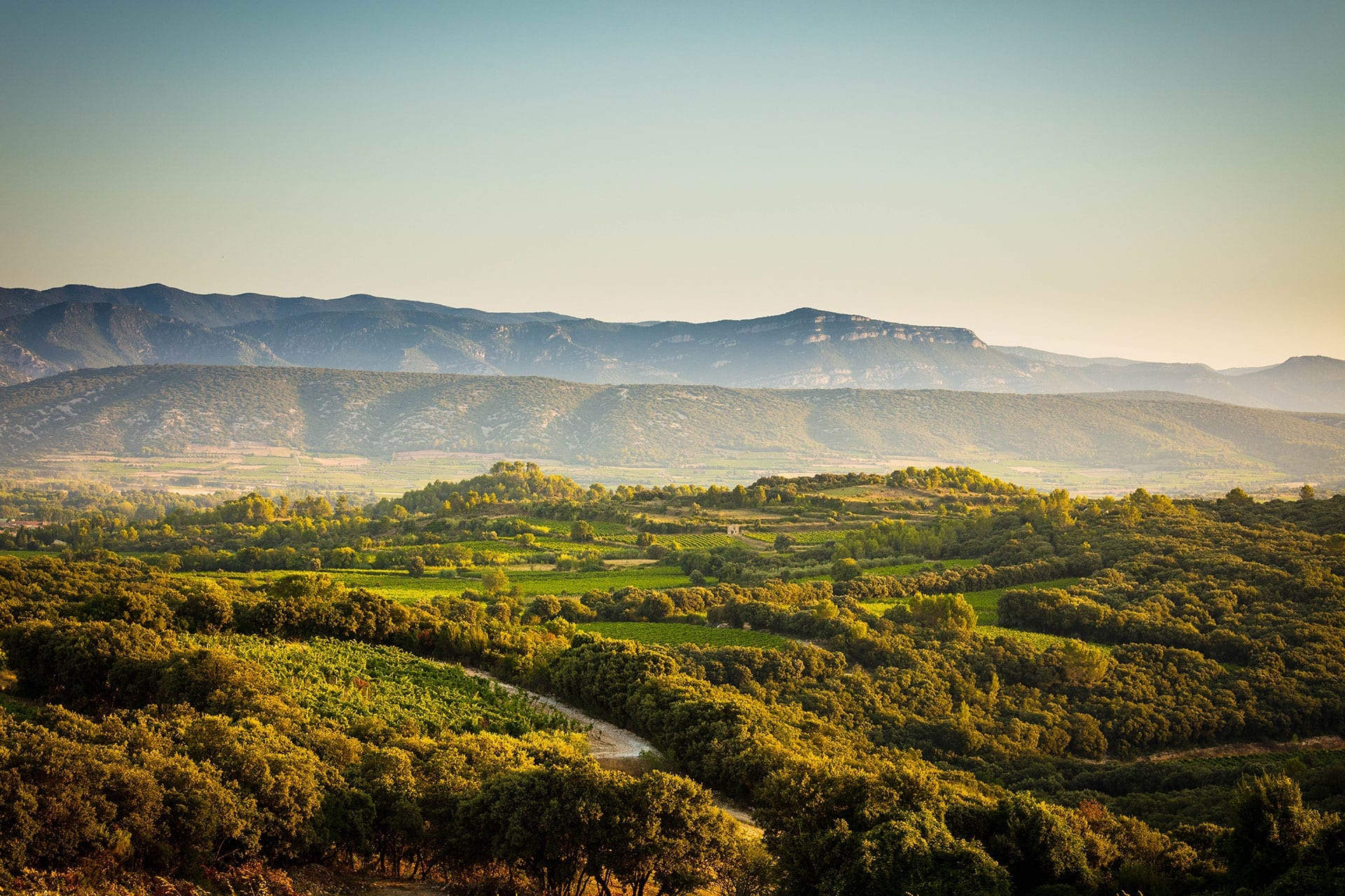 朗格多克-露喜龙