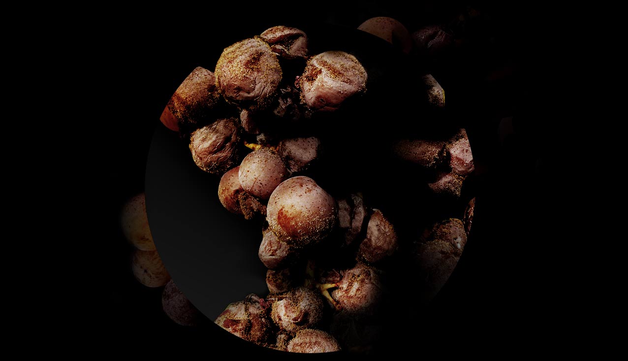 滴金有哪些年份获得了帕克满分评价？