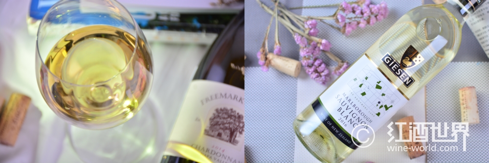 葡萄酒品鉴之酒体