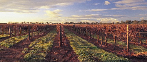 澳大利亚优质产区大盘点