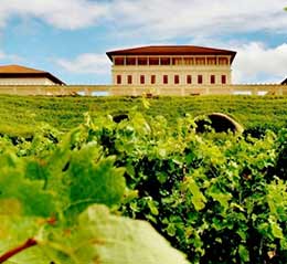 里奥哈维加酒庄(Rioja Vega)