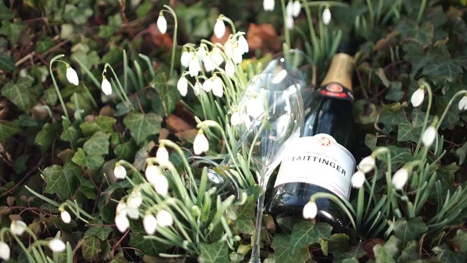 泰亭哲香槟：集尊贵地位和艺术造诣于一身