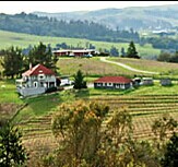 路易王妃酒庄(Roederer Estate)