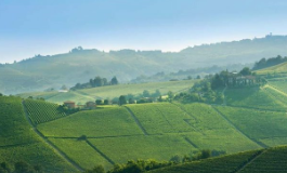 十问十答，快速拿下意大利皮埃蒙特