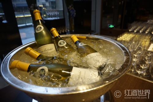 喝红葡萄酒需要冰镇吗？
