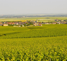 十问十答，快速掌握香槟产区