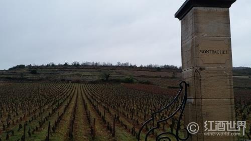 细数勃艮第的33座特级葡萄园