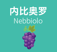 钟情于意大利风土的“雾葡萄”